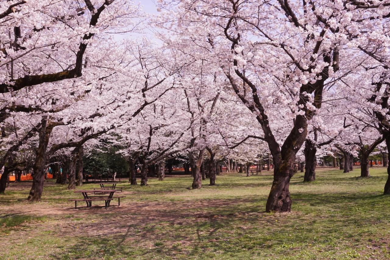 渋谷 広め50M2 2Ldk 代々木公園駅徒歩5分 家族におすすめ Appartement Tokio Buitenkant foto